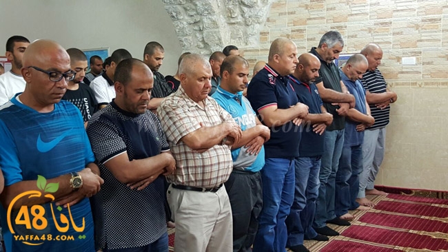 7ozaifa yaman (15).jpg